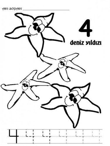 RAKAMLAR (7).jpg