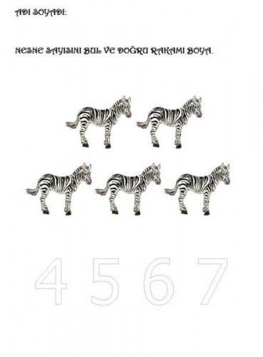 counting-number5-african-animals.jpg