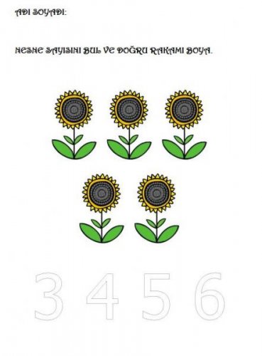 summer-worksheet-counting5.jpg