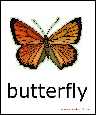 butterfly.jpg