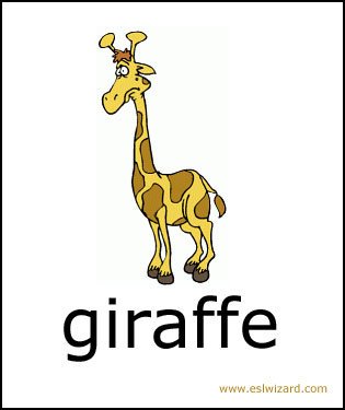 giraffe.jpg