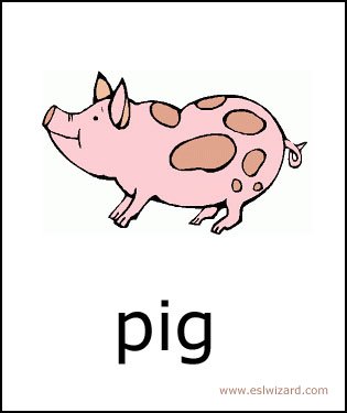 pig.jpg