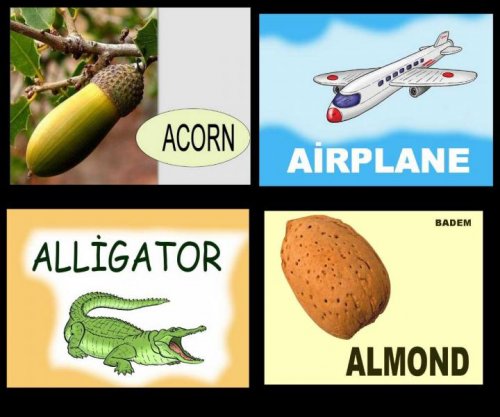 İngilizceKartlar.jpg