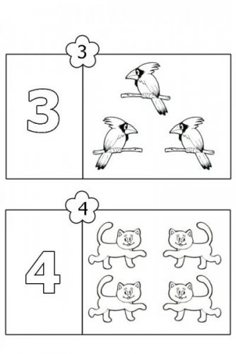 color-number-2.jpg