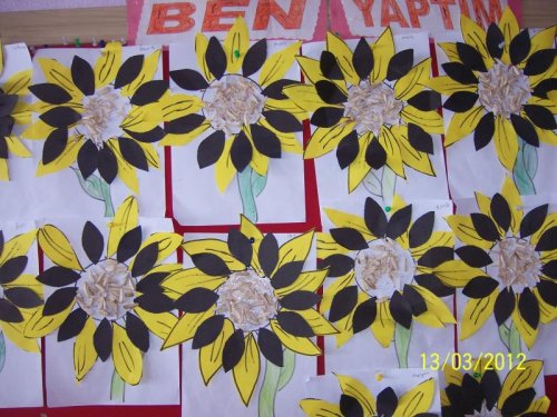 100_1034.jpg