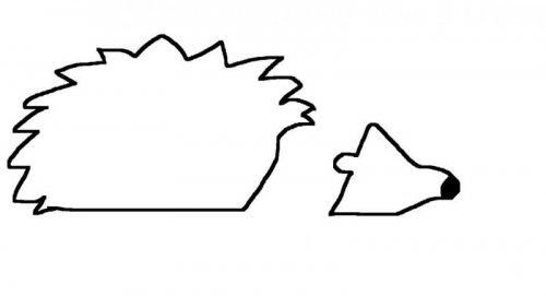 kirpi.jpg