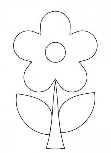 w-ccicek.jpg