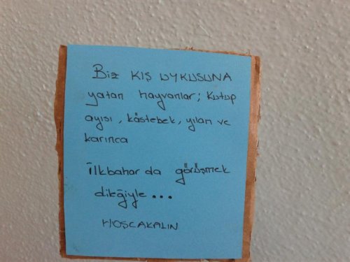 20121120_130646.jpg