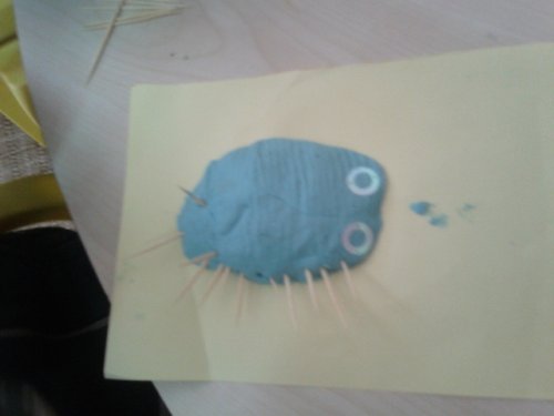 20130311_111514.jpg