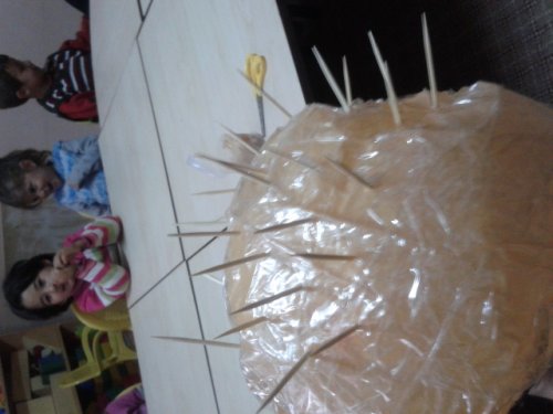 20130312_110959.jpg