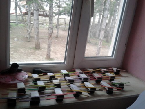 20130315_150836.jpg