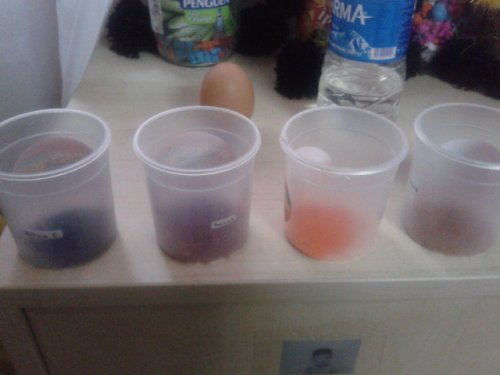 20130322_091745.jpg
