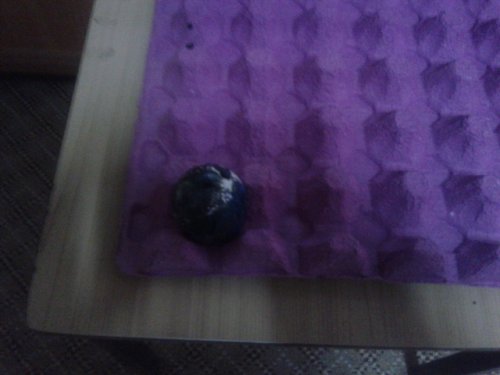 20130322_094224.jpg
