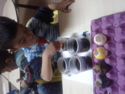 20130322_110819.jpg