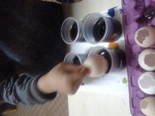 20130322_111848.jpg