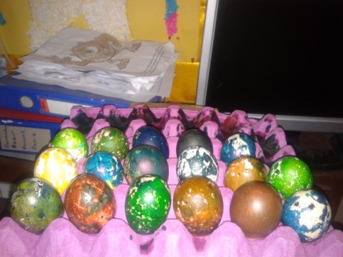 20130322_115550.jpg