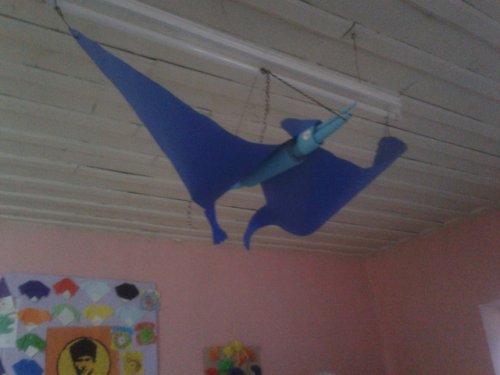 20130527_200751.jpg