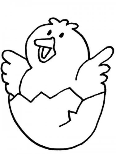 chick.jpg