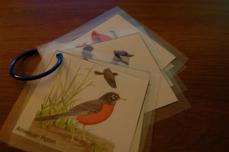 bird_field_guides.jpg