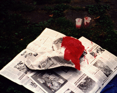 kalp6.gif