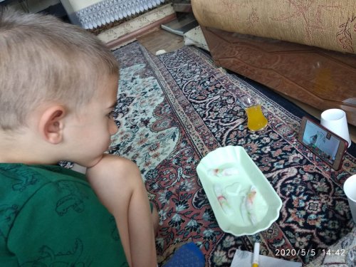 WhatsApp Image 2020-05-05 at 15.59.05 (1).jpeg