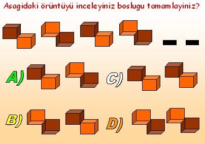 13editedib2.jpg