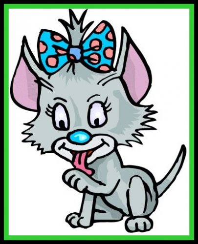 Kedi.jpg