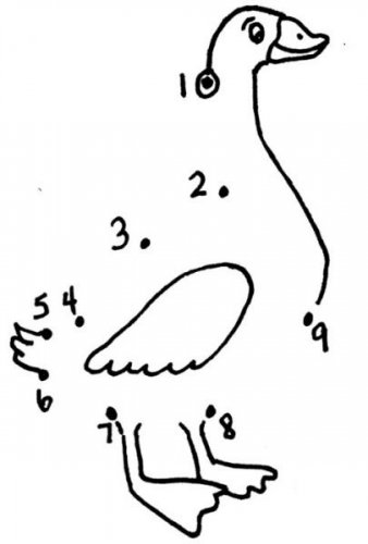 25088_116580345032232_108800435810223_187832_2761551_n.jpg