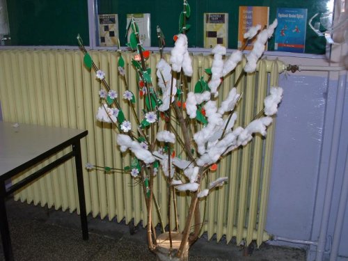 DSCF0125.jpg