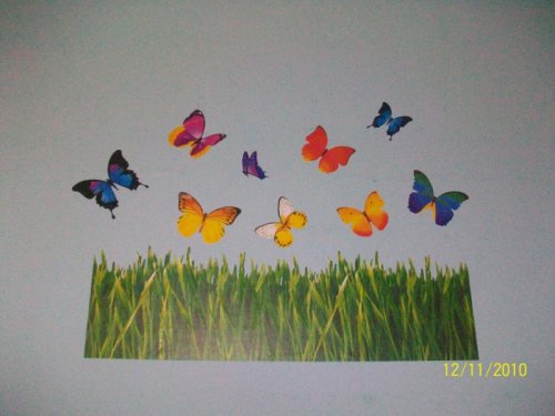 100_6027.jpg