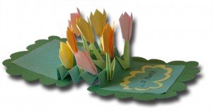 accordian-card-side-300x157.jpg