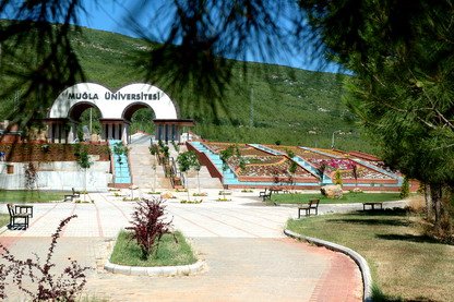 uı.jpg