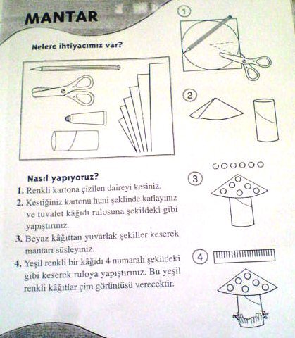 mantar (1).JPG