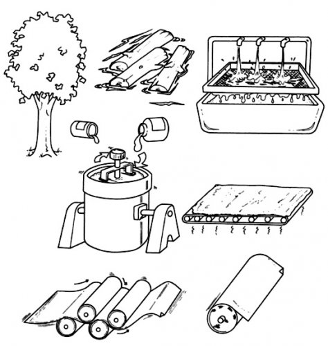 kağıdın oluşumu.jpg